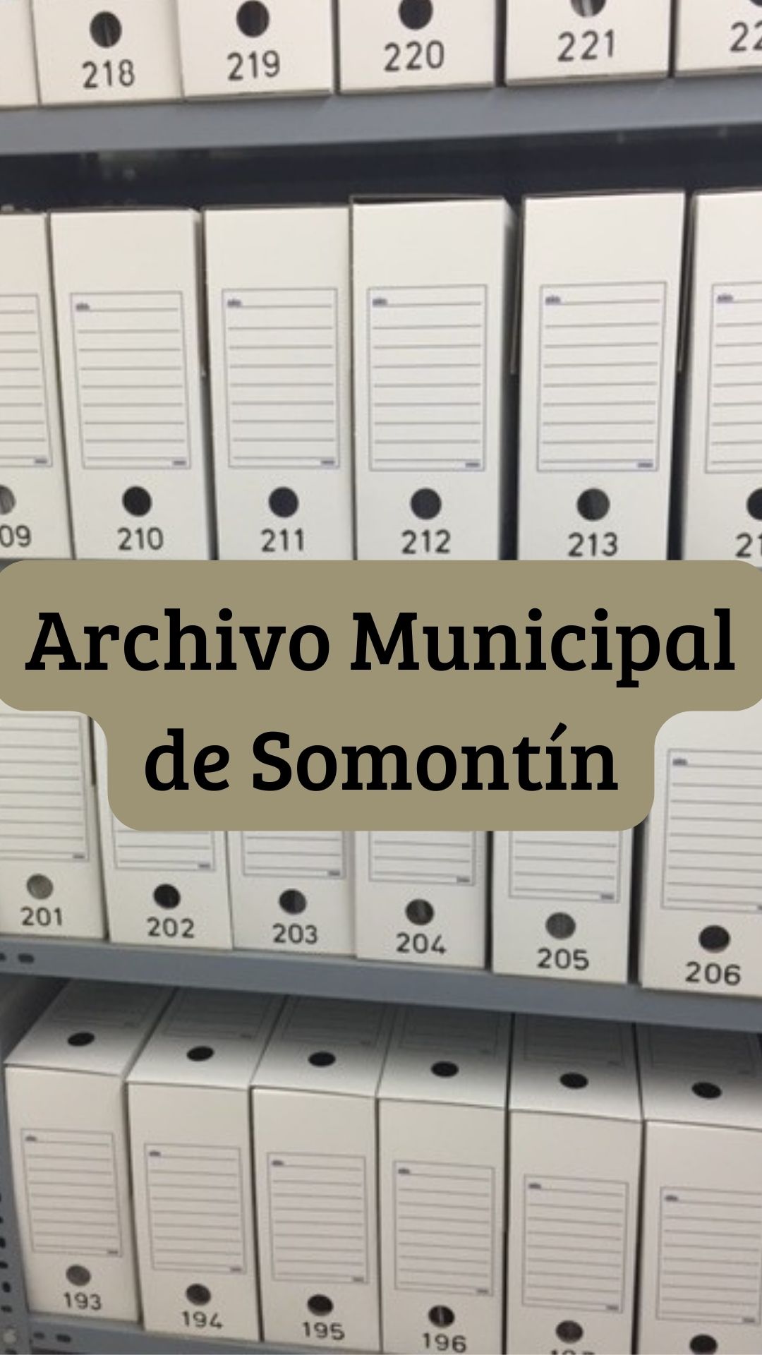 Plan de Organización de Archivos Municipales